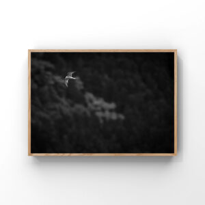 Flying