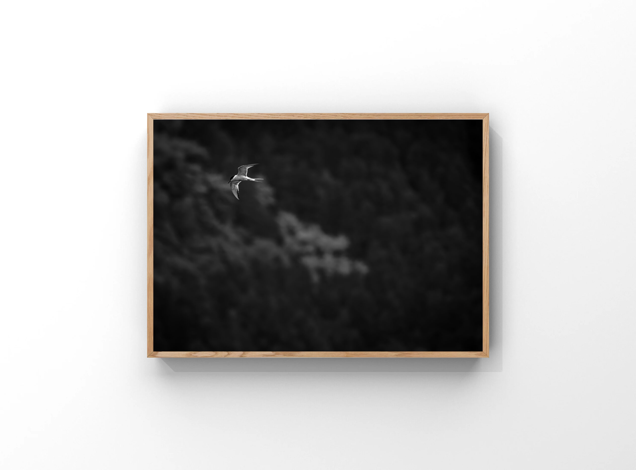 Flying