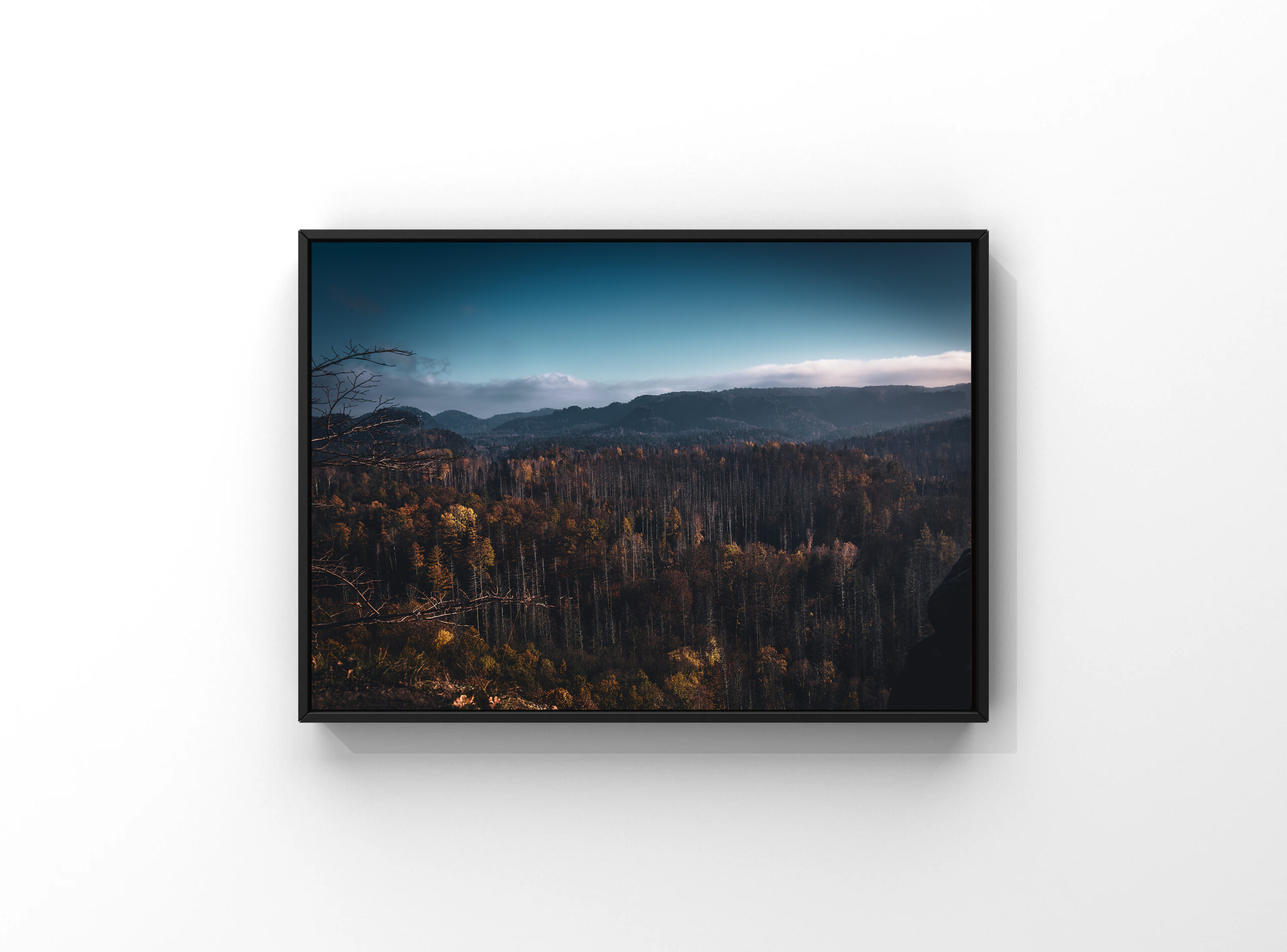 Woodland
