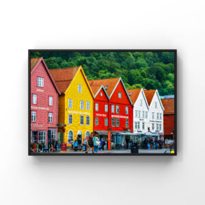 Colors