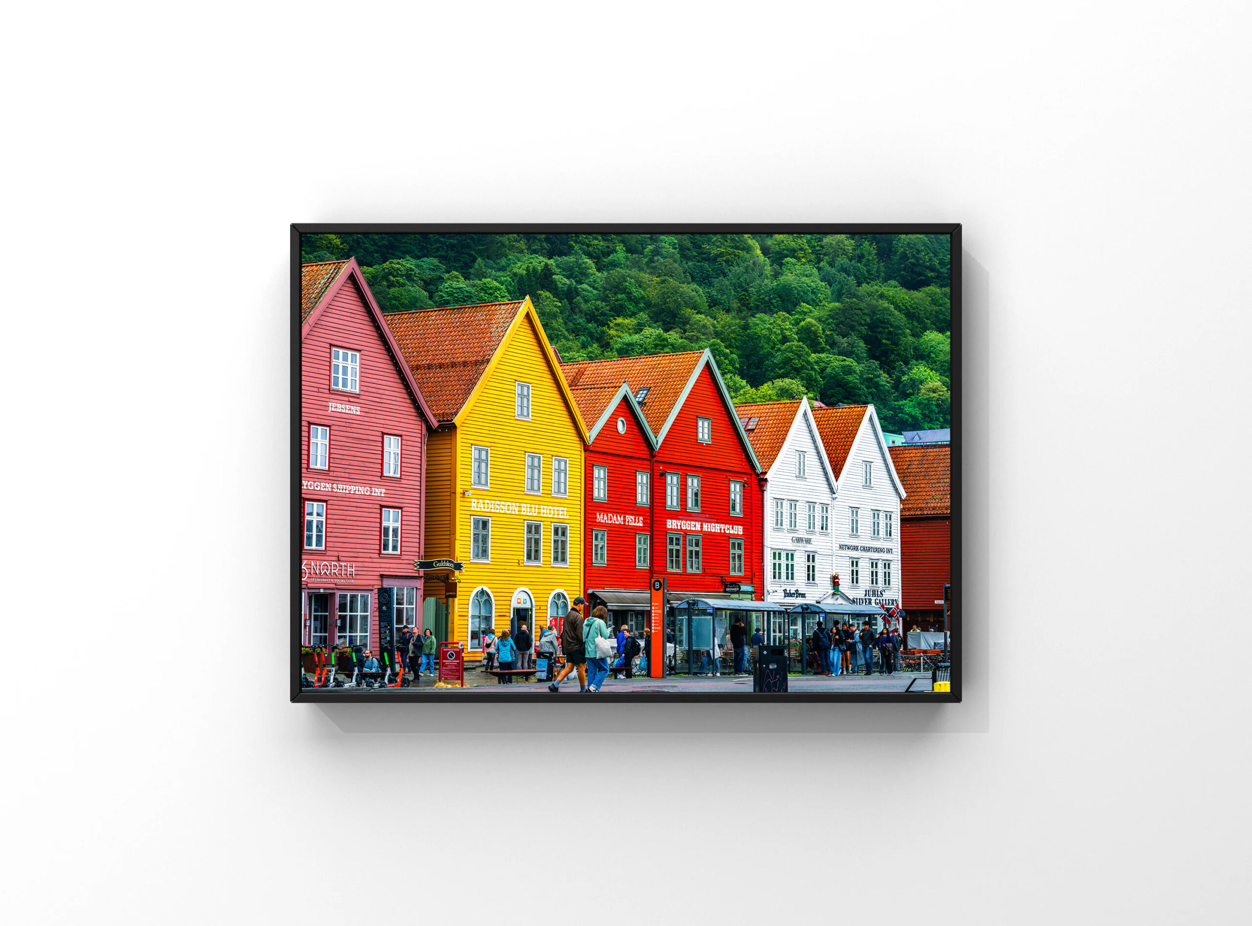 Colors
