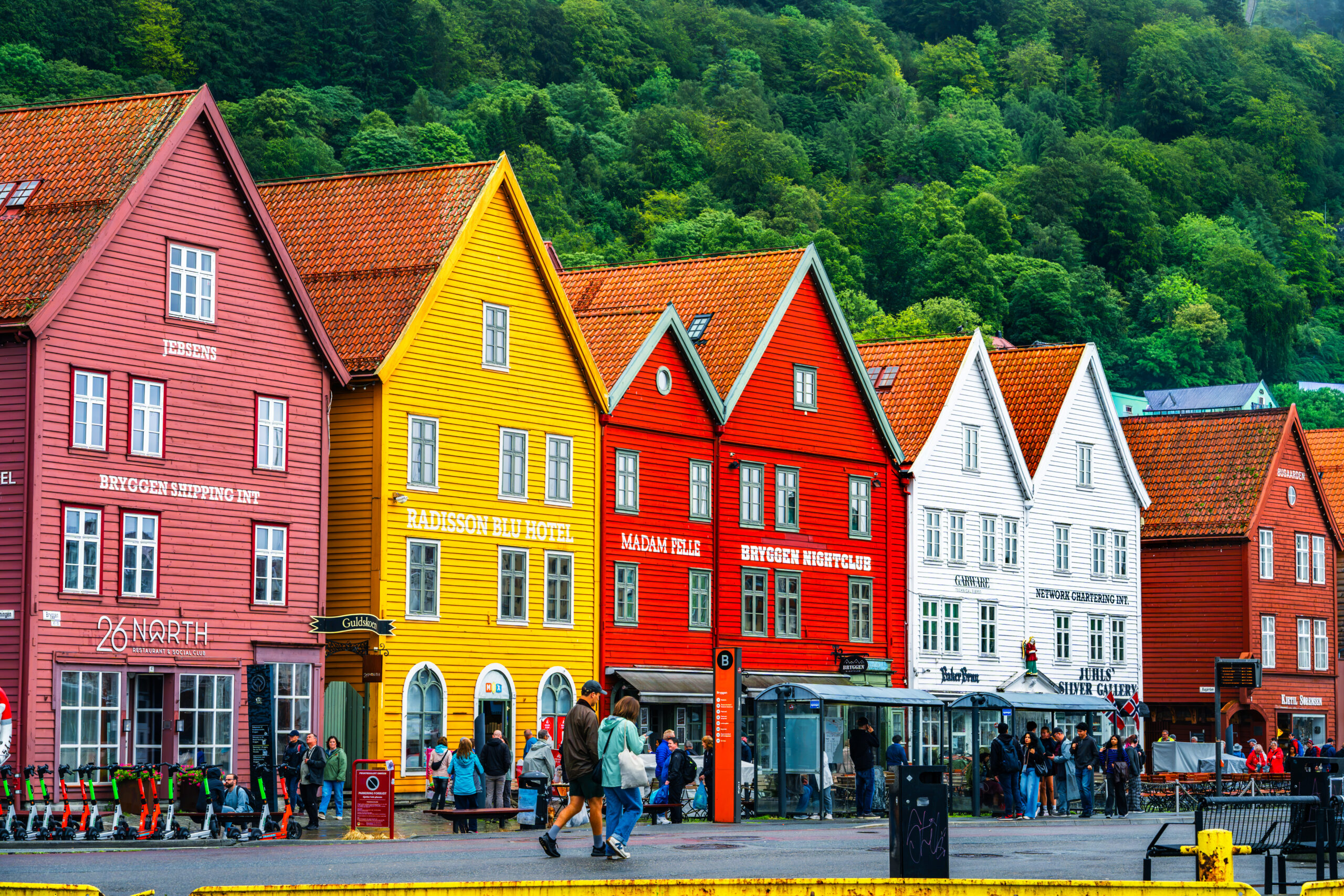 Colors - Image 2
